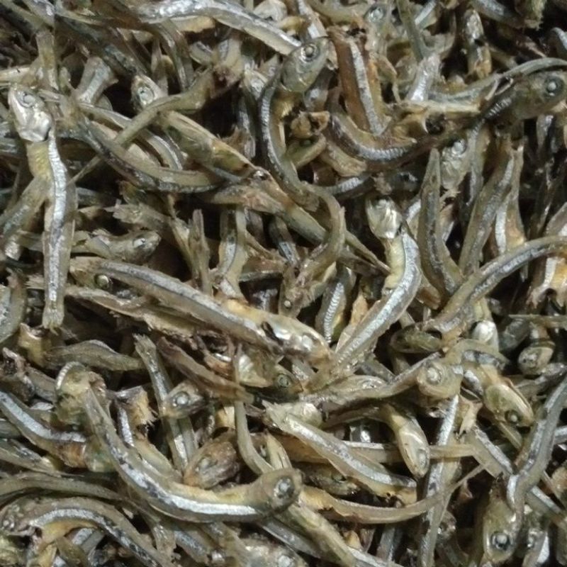 

Teri Mandeh 100 gram