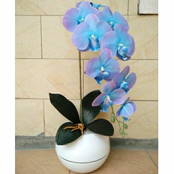 ANGGREK LATEX BIRU 1 TANGKAI