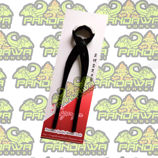PANDAWA BONSAI-ALAT BONSAI Catok bonsai Ryuga Small 18 cm