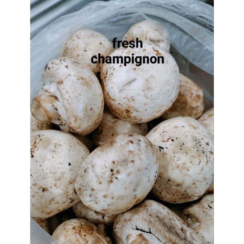 

[INSTANT & SAMEDAY ONLY] Champignon Jamur Fresh 200gr