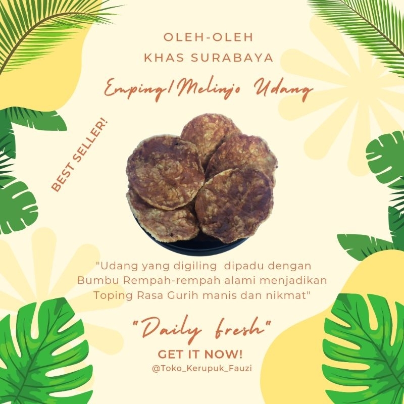 

Emping Melinjo Udang 250Gram (Matang)