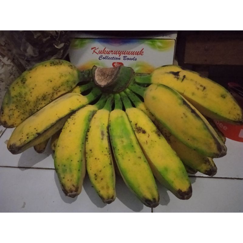 

[Sayur Segar Semarang] Pisang kepok