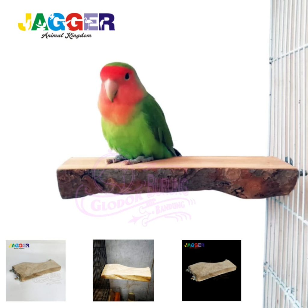 TANGKRINGAN KOTAK KAYU KOPI JATI NATURAL TANGKRINGAN SUDUT BURUNG LOVEBIRD PARROT SG SUNCONURE FALK