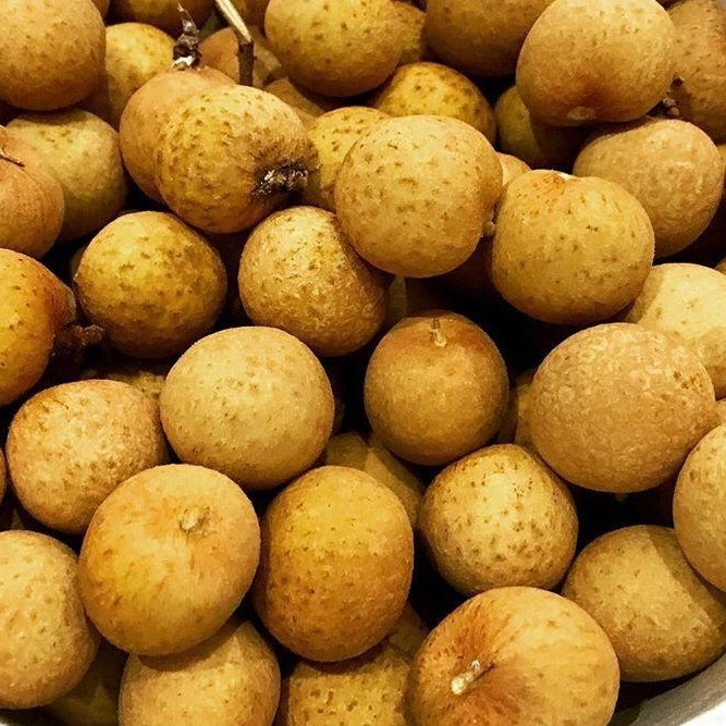 

klengkeng manis