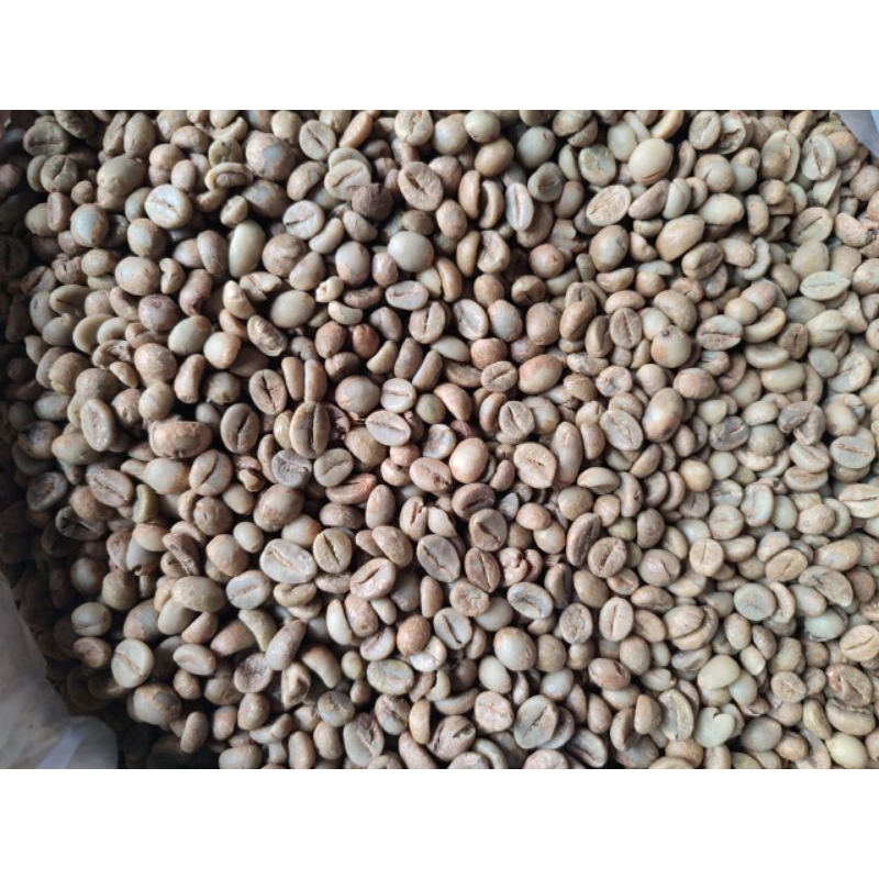 

GREEN BEAN ROBUSTA UMBARAN 1 KG BIJI KECIL SUMBING TEMANGGUNG