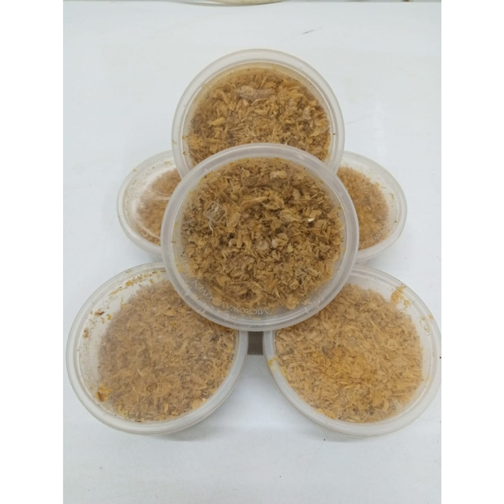 

Udang Rebon & Siwang Terasi Bawang Kemasan 100gr - 135gr Siap Makan