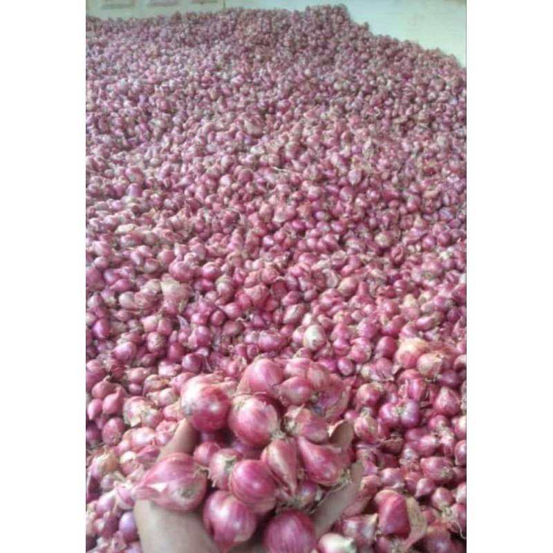 

Bawang merah