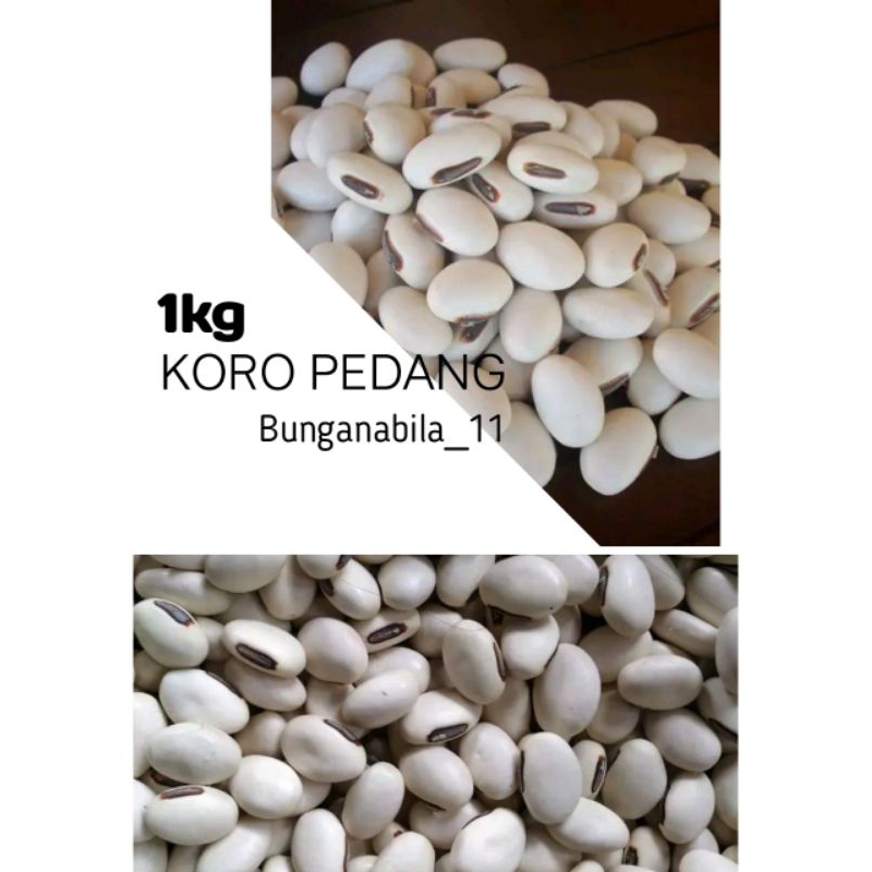 

KACANG KORO BINONG KORO PEDANG 1KG