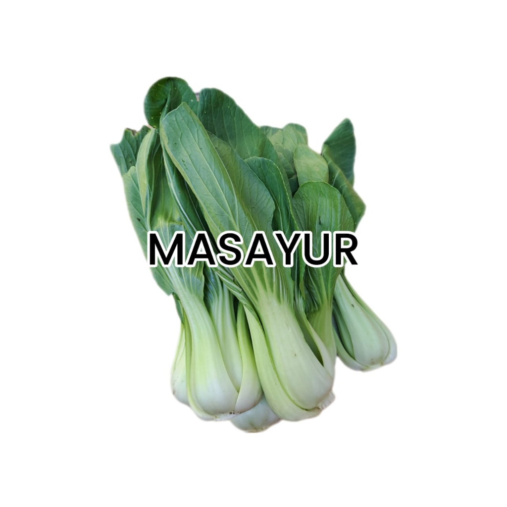 

Pak Coy / Pakcoy / Pak Choi 500 g