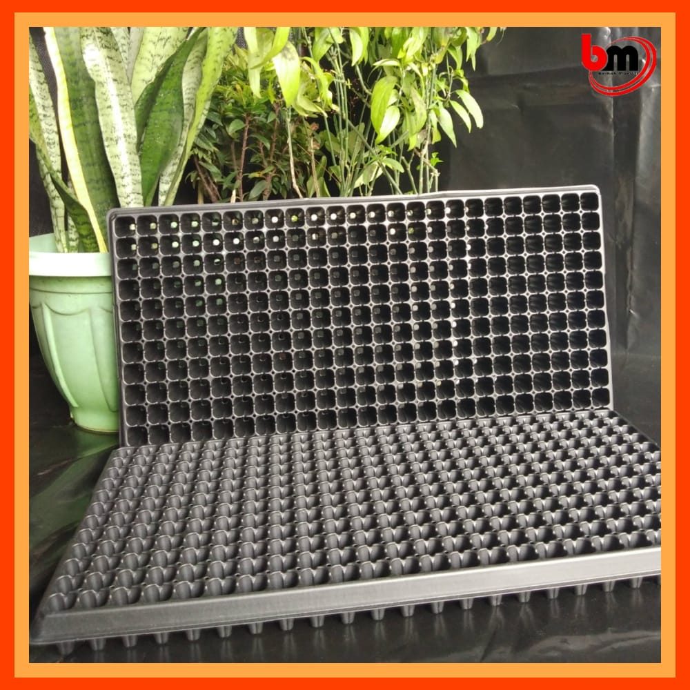 Pot Tray Semai untuk tanaman cabe