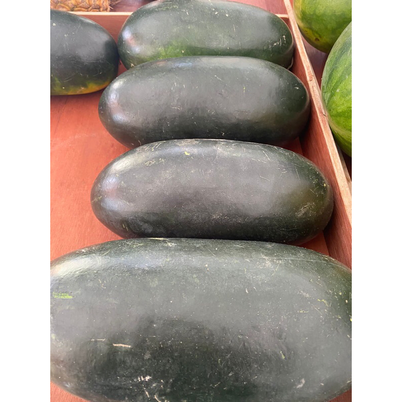 

Semangka Baby Fresh 1Kg