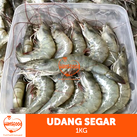 

Udang Fresh/Segar 500gr