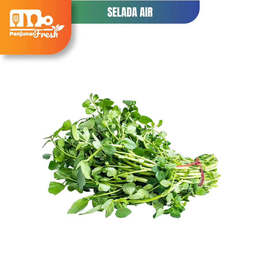 

SAYUR SELADA AIR FRESH SEGAR 500 GR 1 ikat