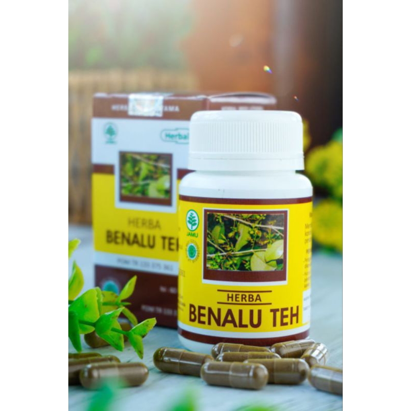 

Teh Herbal Daun Benalu / Teh Benalu Herbal Indo Utama Atasi Penyakit Kanker
