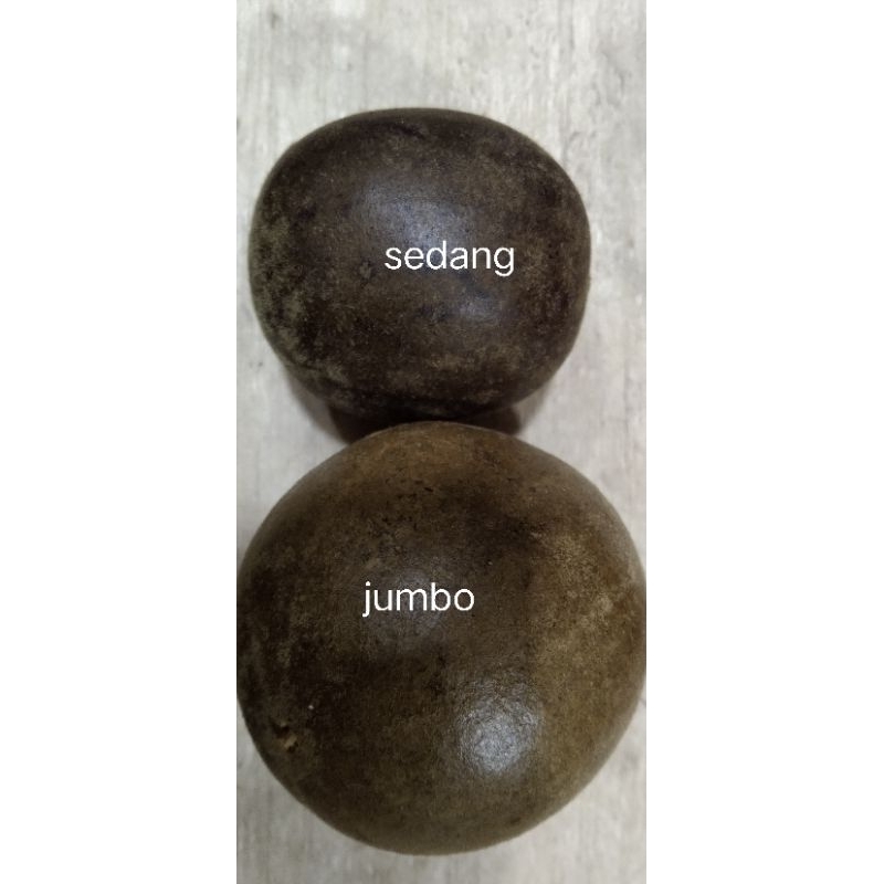 

Buah lohankuo besar 1 pcs
