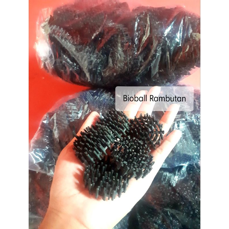 Bioball Rambutan