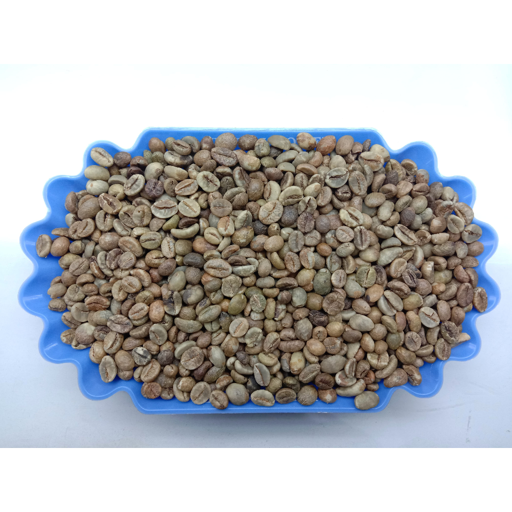 GRADE 2 ROBUSTA GREEN BEAN / BIJI KOPI MENTAH ROBUSTA LAMPUNG - 1 KG