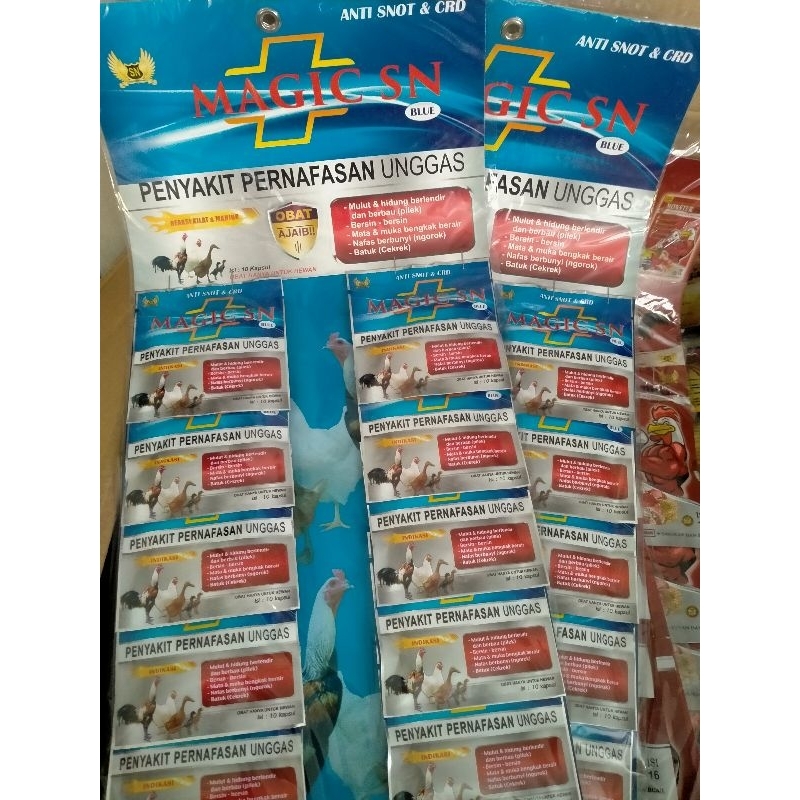 magic blue sn rentengan