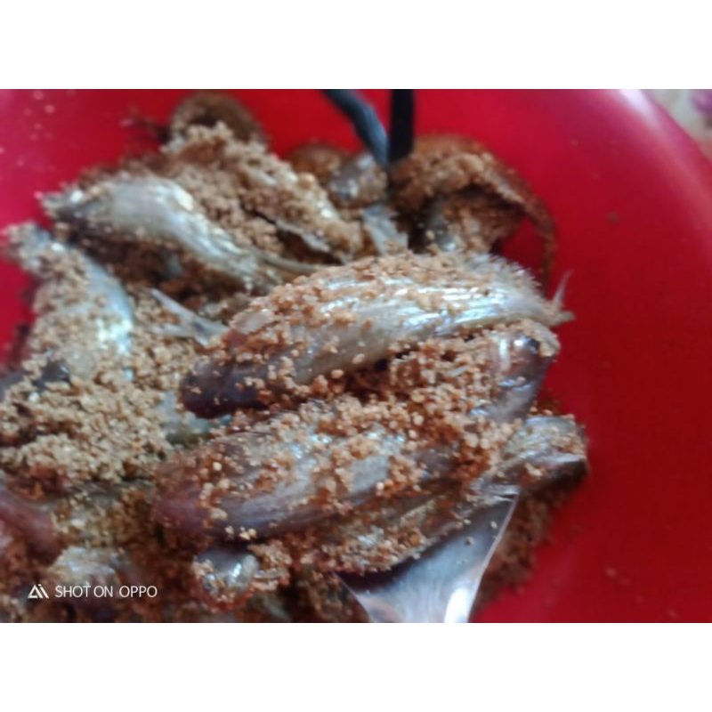

pede ikan lais