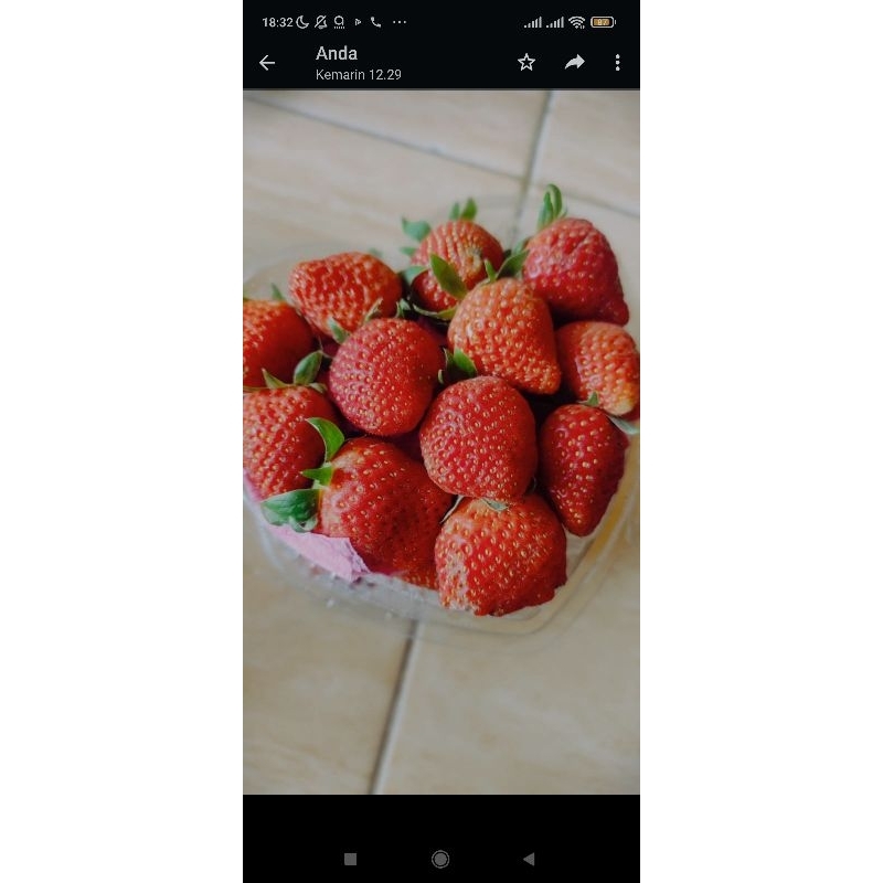 

Strawberry kemasan mika love