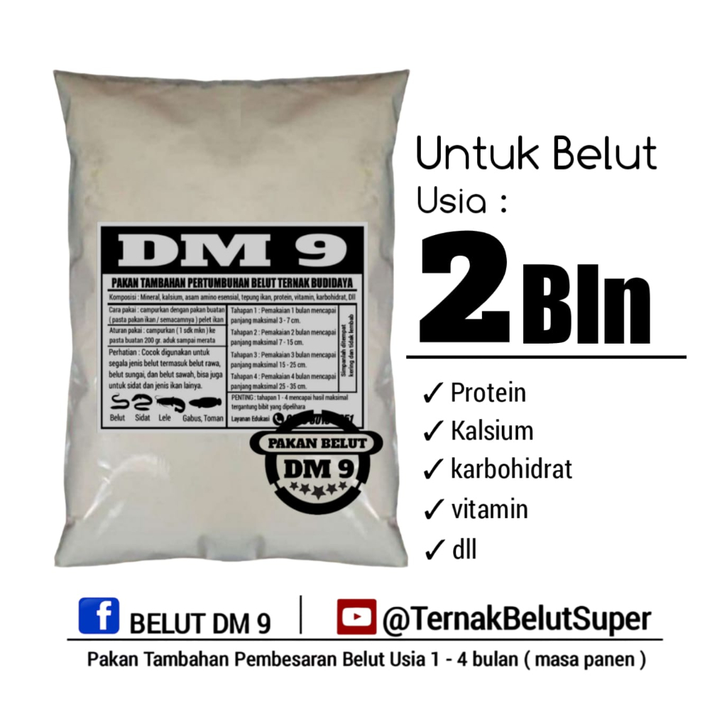 pakan belut ternak budidaya DM 9 usia 2 bulan