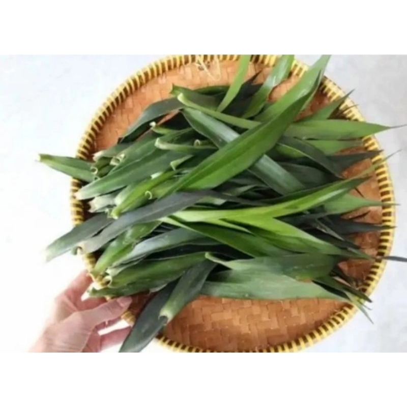 

Daun suji segar/200 gram