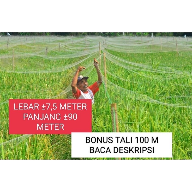ukuran tinggal pilih jaring pengaman padi,jaring burung,jaring sawah jaring burung kecil
