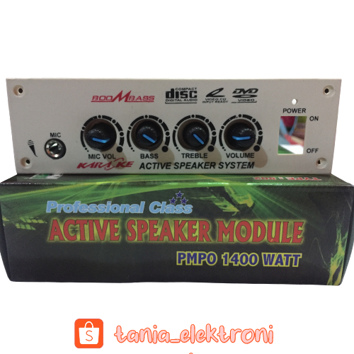 KIT SPEAKER ACTIVE STEREO TIP 41 42 MIC KARAOKE SERRA