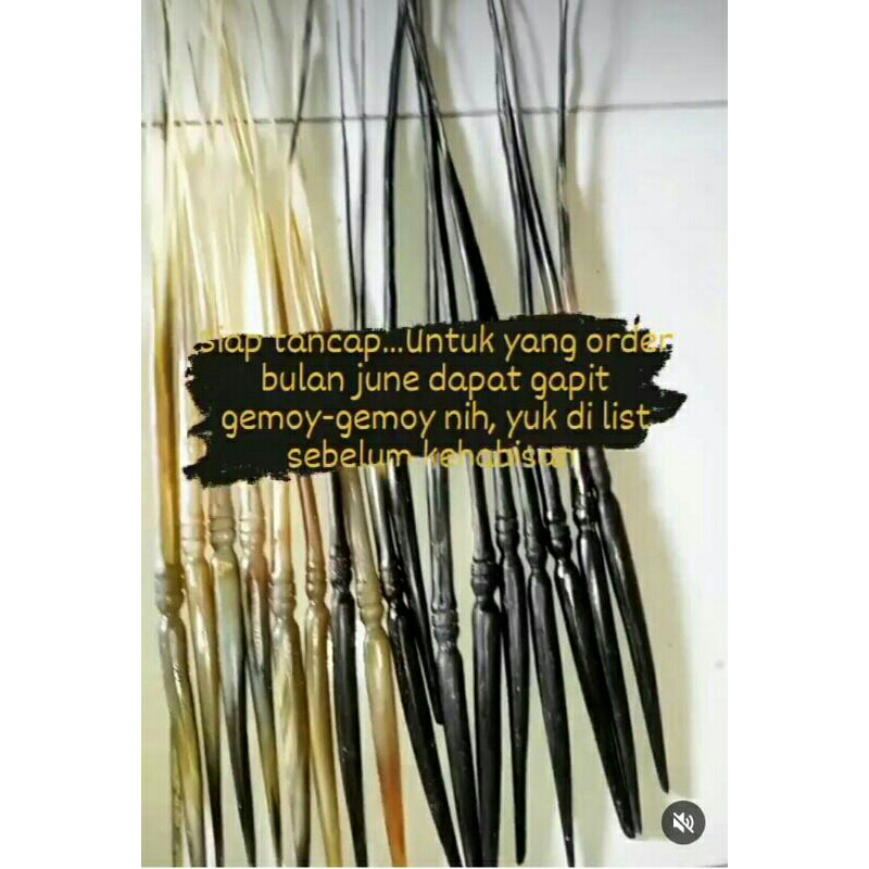 Gapit/gagang wayang tanduk