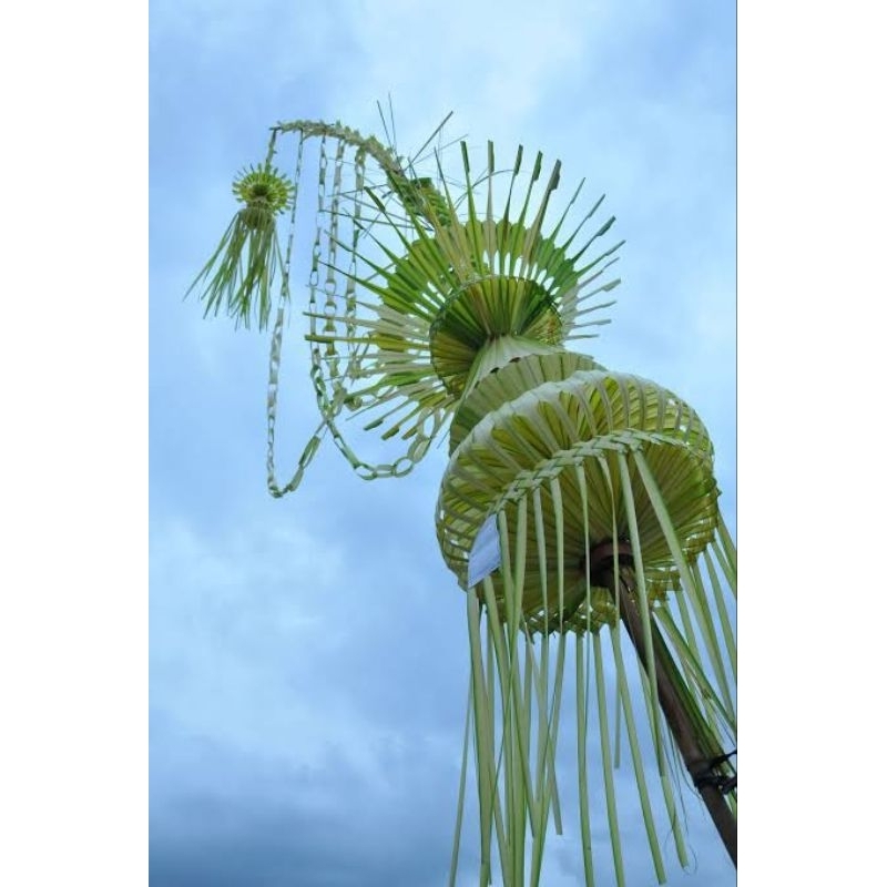 HARGA SPESIAL (BELI 2 GRATIS 1 JANUR KECIL) JANUR PERNIKAHAN MURAH UKURAN 5 METER