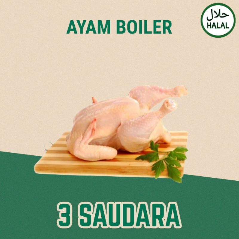 

Ayam Boiler