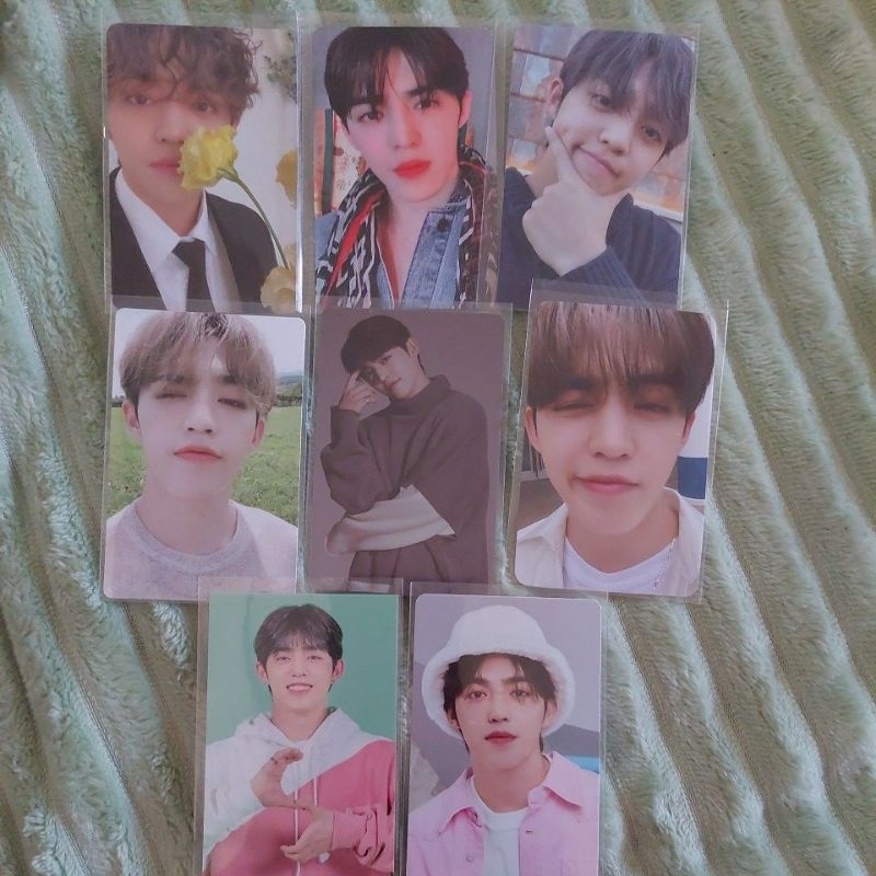 PC Scoups Seventeen