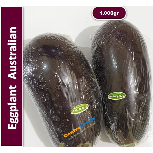 

Terong Australian - Eggplant Fresh | 1.000gr [ Harga Per KG ]