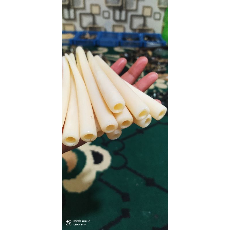 once tulang sapi impor