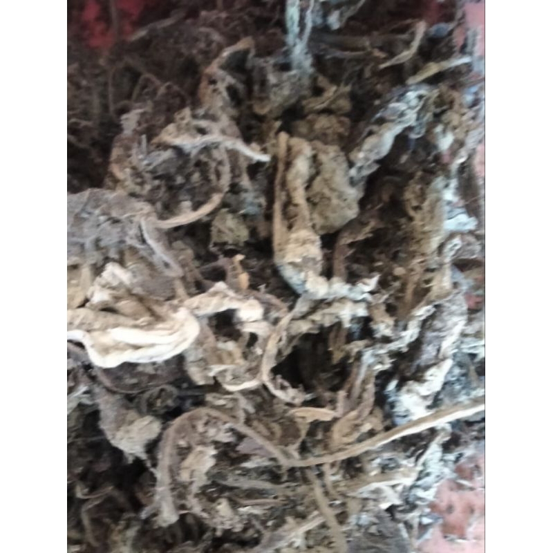 

Daun Sembung 1kg
