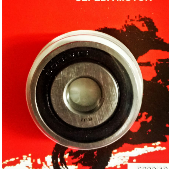 BEARING  CVT 6002-10 / BEARING