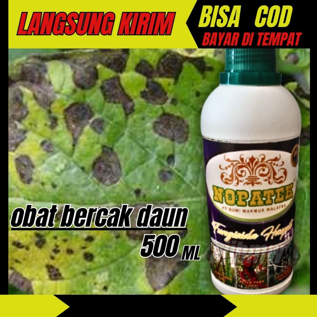bercak daun obat fungisida nopatek hayati