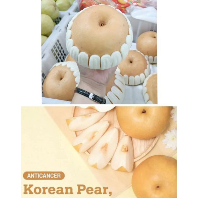 

BUAH PIR GOLDEN KOREA PER SATU BUAH