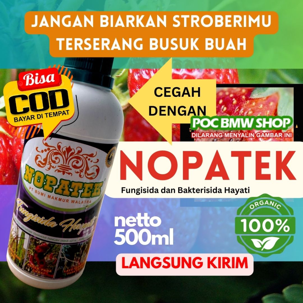 FUNGISIDA NOPATEK OBAT STROBERI BUSUK BUAH, CABE, Bawang Daun, Kacang Panjang, Pepaya Dan Tanaman La