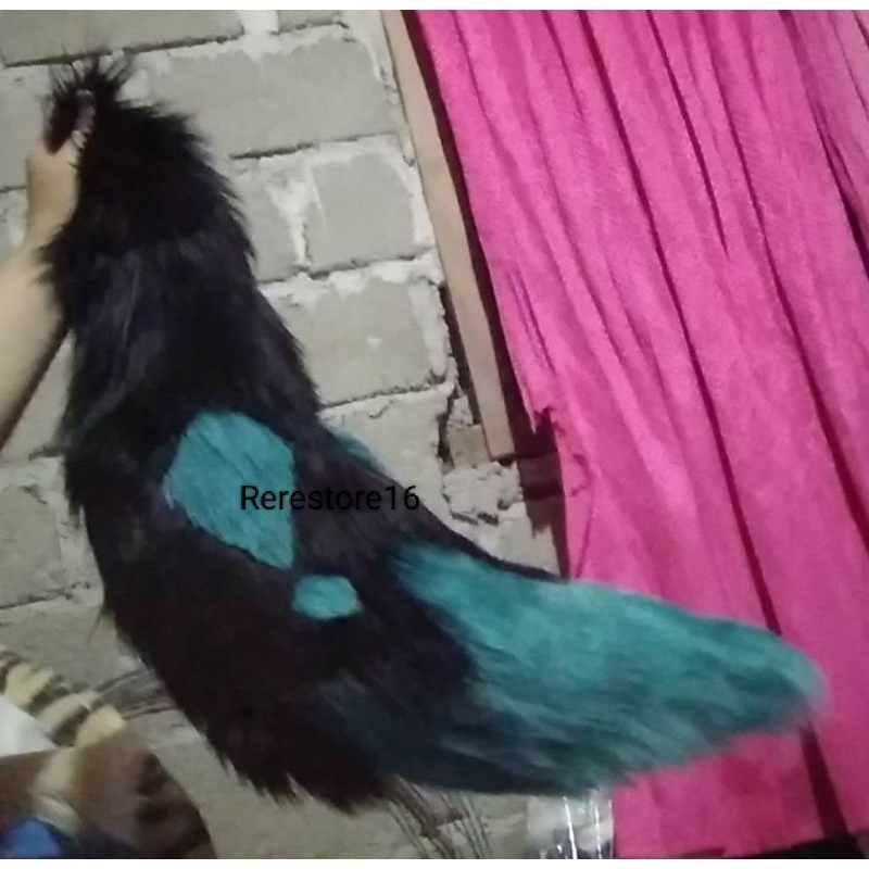 tighnari genshin impact