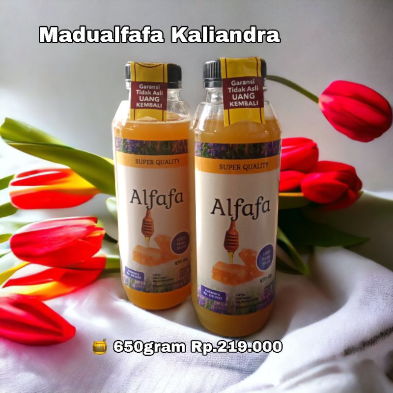 

MADU MURNI PREMIUM ALFAFA KALIANDRA 650 GRAM