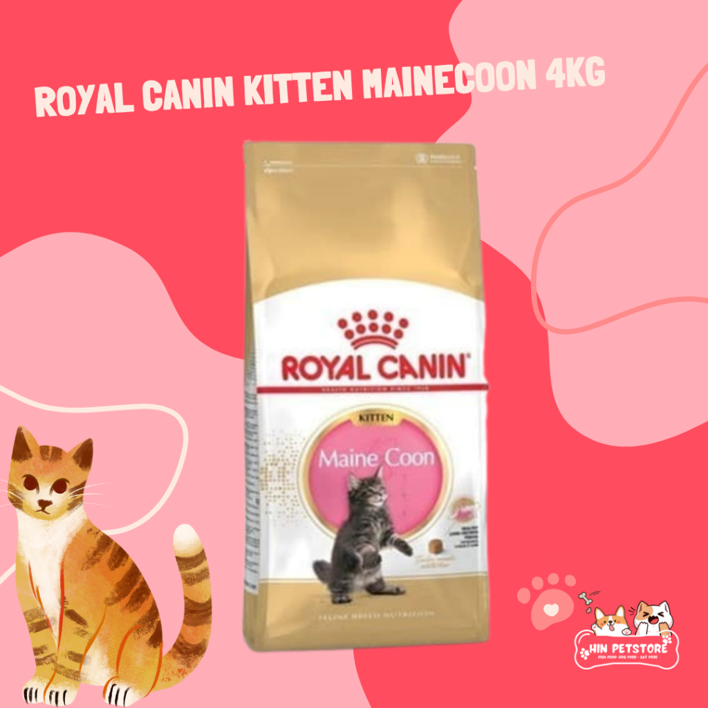 Makanan Kucing - Royal Canin Kitten Mainecoon 4kg