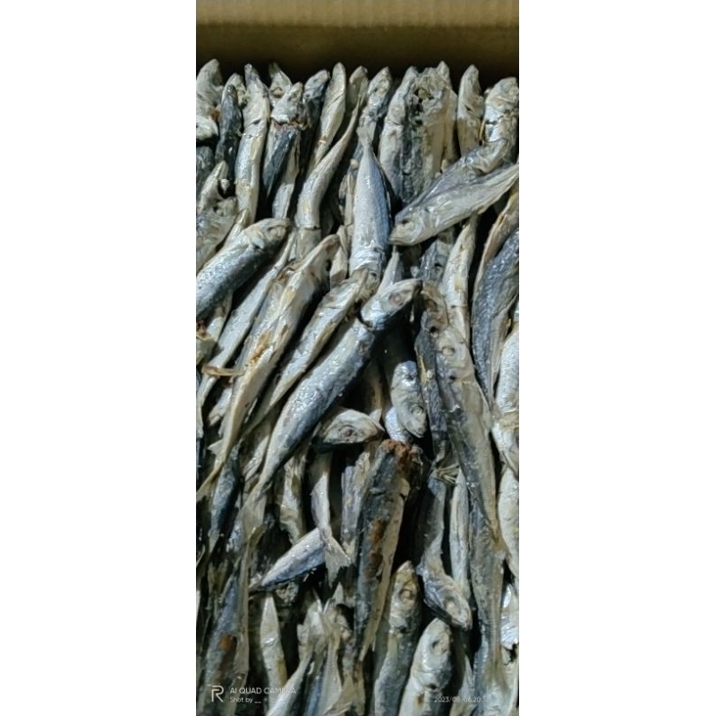 

Ikan Asin Rebus Gurih