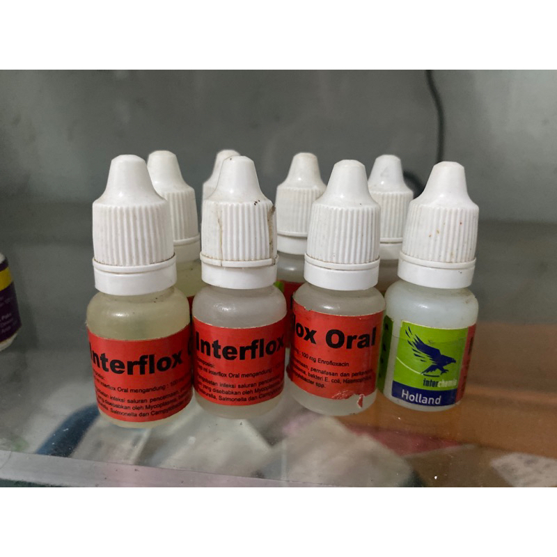 Interflox Oral / Obat Flu