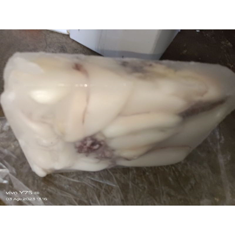 

cumiblekutakkupas#cumisotong