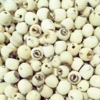 

LIANZHI / BIJI TERATAI IMPORT 100 GRAM