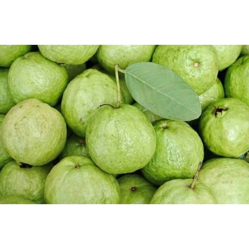 

Jambu Kristal 1 kg