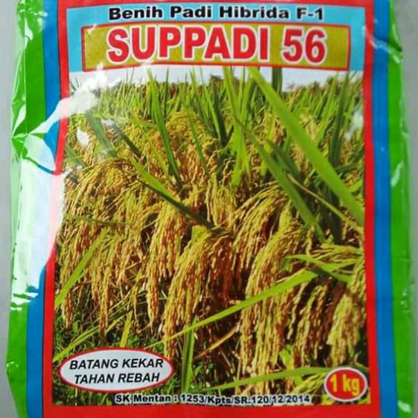 Benih Bibit Padi Hibrida Suppadi 56 Original