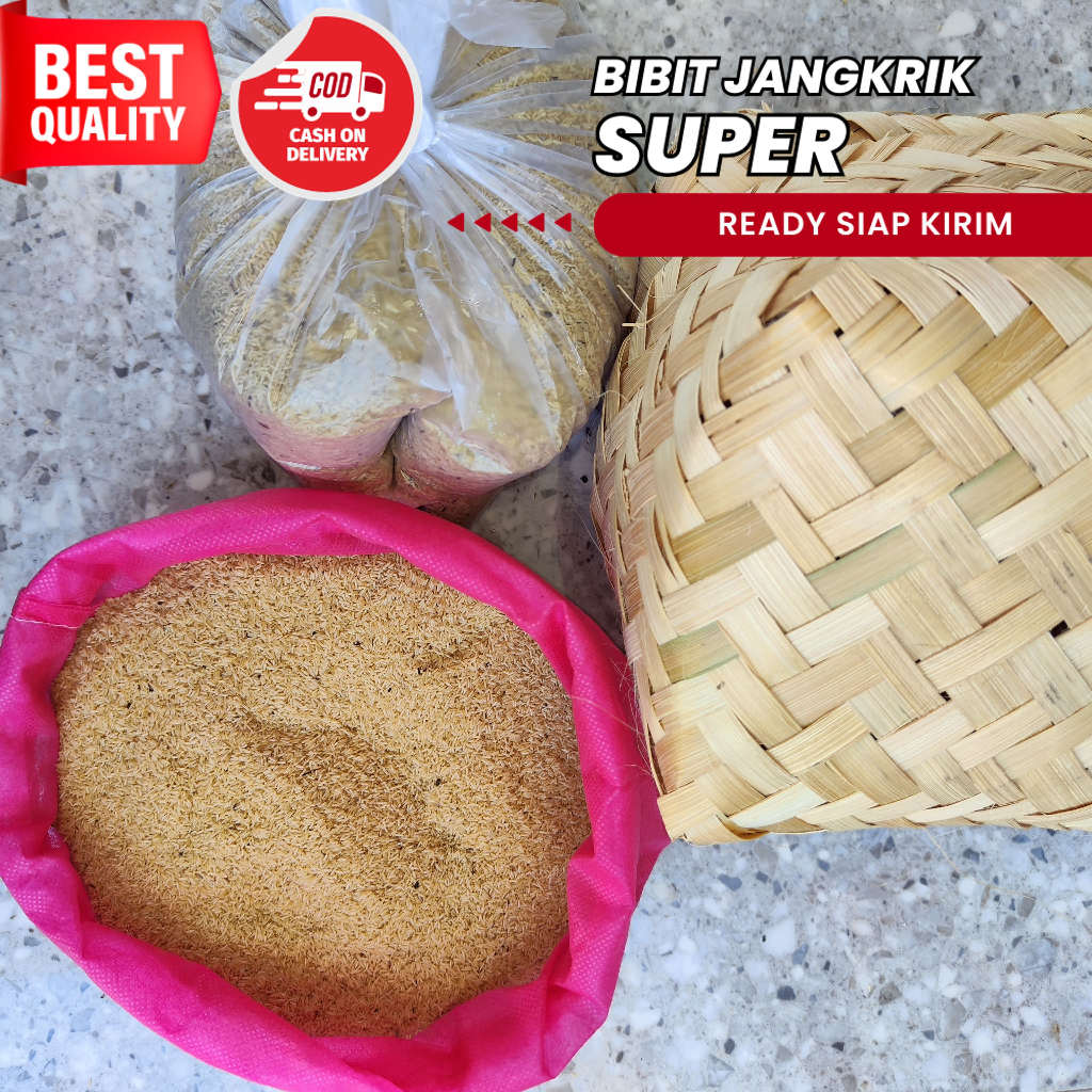 jual telur jangkrik jawa timur 250 gram telur jangkrik sliring  bibit telur jangkrik SUPER UNGGUL te