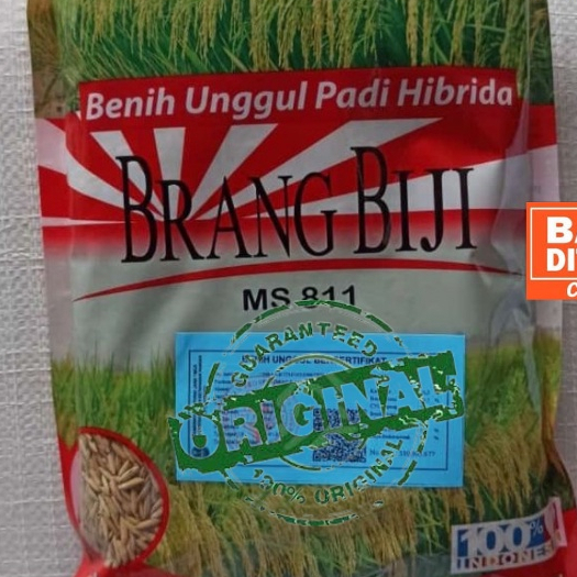BENIH PADI HIBRIDA BRANG BIJI BIBIT PADI UNGGUL KEMASAN 1KG
